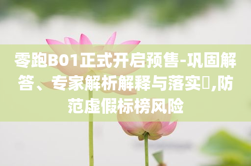零跑B01正式開啟預(yù)售-鞏固解答、專家解析解釋與落實(shí)?,防范虛假標(biāo)榜風(fēng)險(xiǎn)