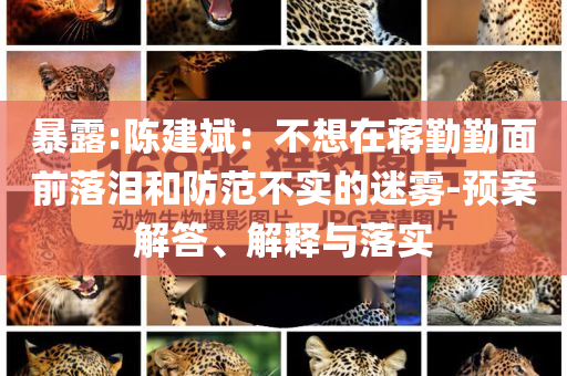 暴露:陳建斌：不想在蔣勤勤面前落淚和防范不實(shí)的迷霧-預(yù)案解答、解釋與落實(shí)
