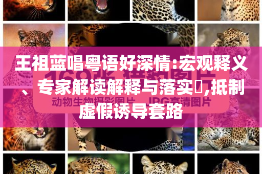 生活榜單 第82頁
