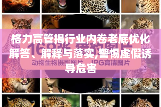 格力高管揭行業(yè)內(nèi)卷老底優(yōu)化解答、解釋與落實,警惕虛假誘導危害