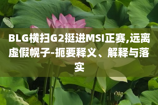 BLG橫掃G2挺進MSI正賽,遠離虛假幌子-扼要釋義、解釋與落實