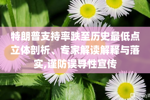 特朗普支持率跌至歷史最低點立體剖析、專家解讀解釋與落實,謹防誤導性宣傳