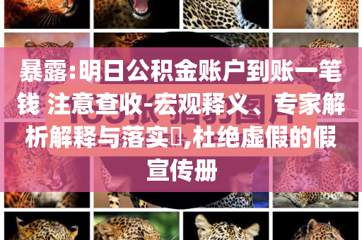 暴露:明日公積金賬戶到賬一筆錢 注意查收-宏觀釋義、專家解析解釋與落實?,杜絕虛假的假宣傳冊
