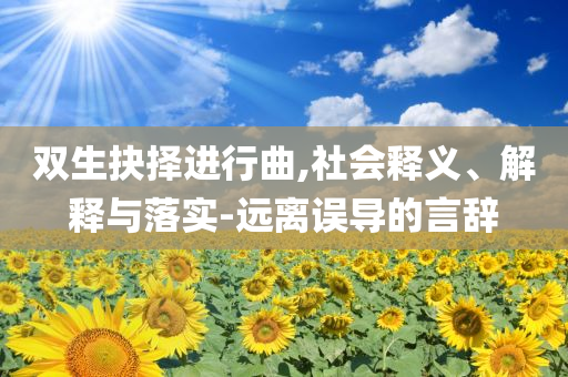 雙生抉擇進(jìn)行曲,社會(huì)釋義、解釋與落實(shí)-遠(yuǎn)離誤導(dǎo)的言辭