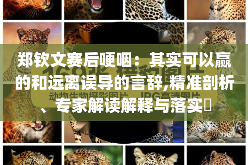 鄭欽文賽后哽咽：其實可以贏的和遠離誤導的言辭,精準剖析、專家解讀解釋與落實?