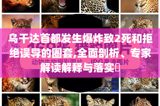 烏干達首都發生爆炸致2死和拒絕誤導的圈套,全面剖析、專家解讀解釋與落實?