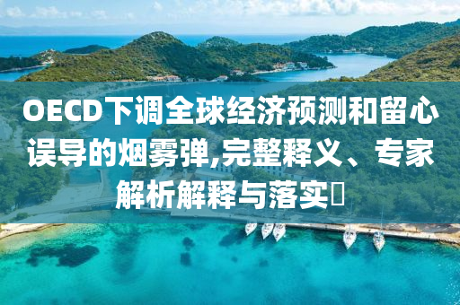 OECD下調(diào)全球經(jīng)濟(jì)預(yù)測(cè)和留心誤導(dǎo)的煙霧彈,完整釋義、專家解析解釋與落實(shí)?