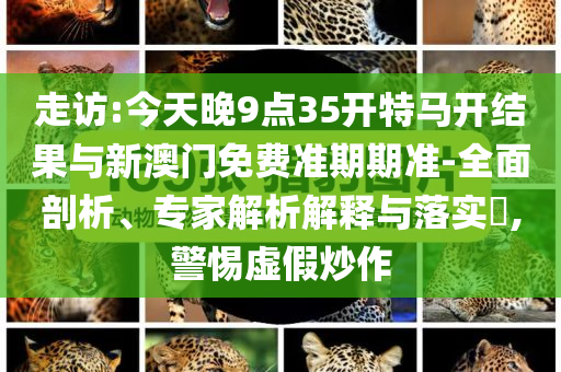 走訪:今天晚9點35開特馬開結果與新澳門免費準期期準-全面剖析、專家解析解釋與落實?,警惕虛假炒作