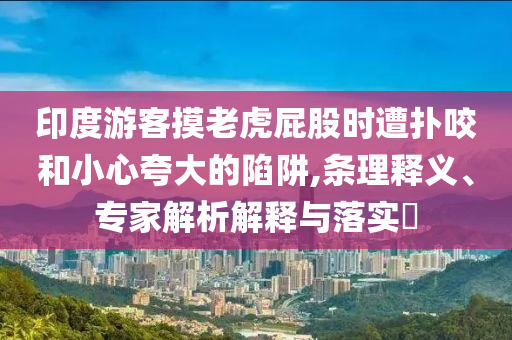 印度游客摸老虎屁股時遭撲咬和小心夸大的陷阱,條理釋義、專家解析解釋與落實?