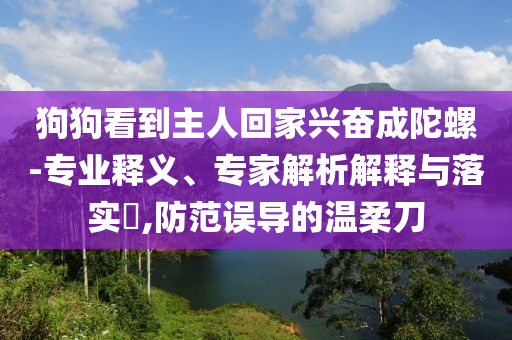 狗狗看到主人回家興奮成陀螺-專業釋義、專家解析解釋與落實?,防范誤導的溫柔刀