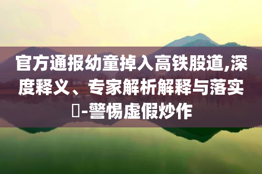 官方通報幼童掉入高鐵股道,深度釋義、專家解析解釋與落實?-警惕虛假炒作