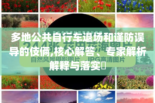 多地公共自行車退場和謹(jǐn)防誤導(dǎo)的伎倆,核心解答、專家解析解釋與落實?