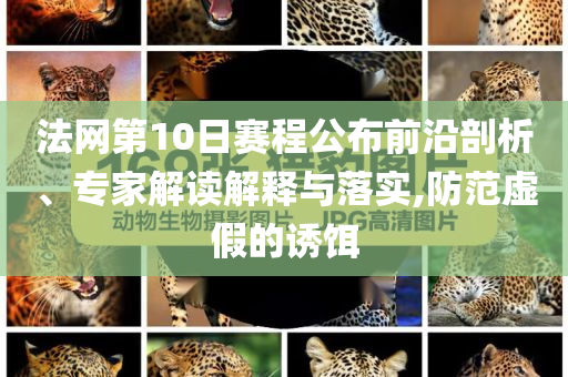 法網(wǎng)第10日賽程公布前沿剖析、專家解讀解釋與落實(shí),防范虛假的誘餌
