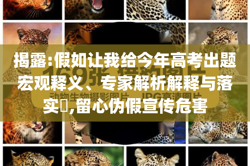 揭露:假如讓我給今年高考出題宏觀釋義、專家解析解釋與落實(shí)?,留心偽假宣傳危害