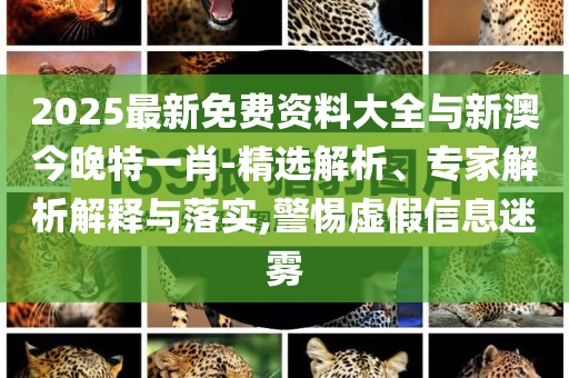 2025最新免費資料大全與新澳今晚特一肖-精選解析、專家解析解釋與落實,警惕虛假信息迷霧