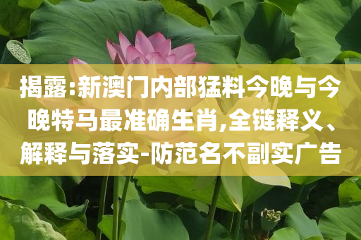 揭露:新澳門內部猛料今晚與今晚特馬最準確生肖,全鏈釋義、解釋與落實-防范名不副實廣告