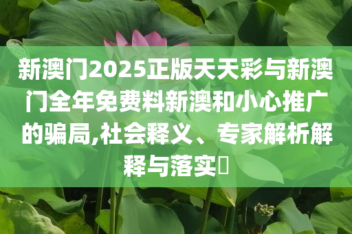 新澳門2025正版天天彩與新澳門全年免費料新澳和小心推廣的騙局,社會釋義、專家解析解釋與落實?