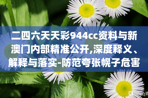 二四六天天彩944cc資料與新澳門內部精準公開,深度釋義、解釋與落實-防范夸張幌子危害