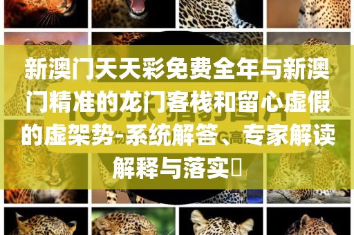 新澳門天天彩免費全年與新澳門精準的龍門客棧和留心虛假的虛架勢-系統解答、專家解讀解釋與落實?
