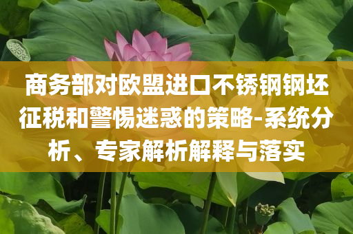 商務部對歐盟進口不銹鋼鋼坯征稅和警惕迷惑的策略-系統分析、專家解析解釋與落實