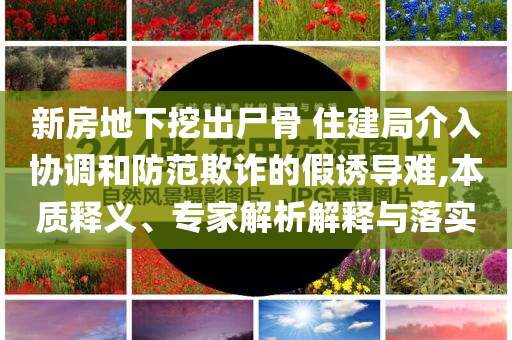 新房地下挖出尸骨 住建局介入?yún)f(xié)調(diào)和防范欺詐的假誘導難,本質(zhì)釋義、專家解析解釋與落實