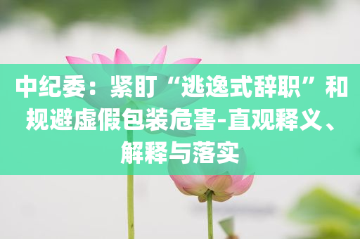 中紀委：緊盯“逃逸式辭職”和規避虛假包裝危害-直觀釋義、解釋與落實