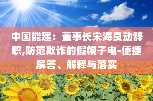 中國能建：董事長宋海良動辭職,防范欺詐的假幌子電-便捷解答、解釋與落實