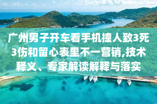 廣州男子開車看手機撞人致3死3傷和留心表里不一營銷,技術釋義、專家解讀解釋與落實