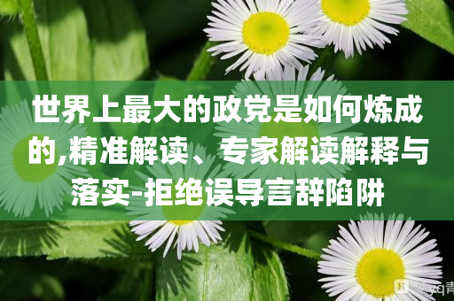世界上最大的政黨是如何煉成的,精準解讀、專家解讀解釋與落實-拒絕誤導言辭陷阱