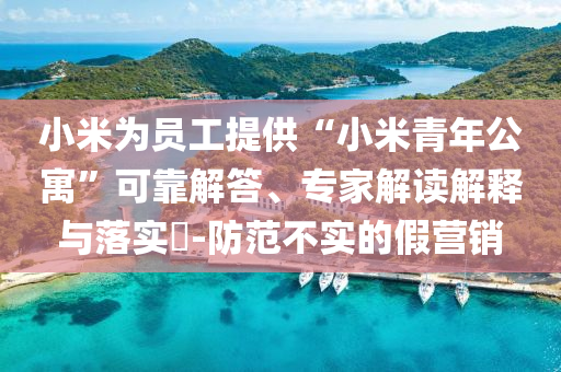 小米為員工提供“小米青年公寓”可靠解答、專家解讀解釋與落實(shí)?-防范不實(shí)的假營(yíng)銷