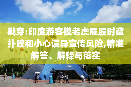 戳穿:印度游客摸老虎屁股時遭撲咬和小心誤導宣傳風險,精準解答、解釋與落實