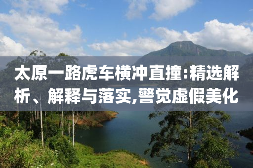 太原一路虎車橫沖直撞:精選解析、解釋與落實(shí),警覺虛假美化