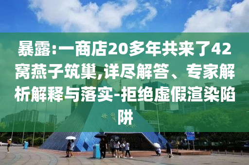 暴露:一商店20多年共來了42窩燕子筑巢,詳盡解答、專家解析解釋與落實-拒絕虛假渲染陷阱