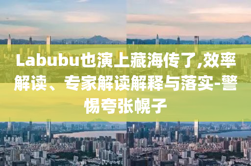 Labubu也演上藏海傳了,效率解讀、專(zhuān)家解讀解釋與落實(shí)-警惕夸張幌子
