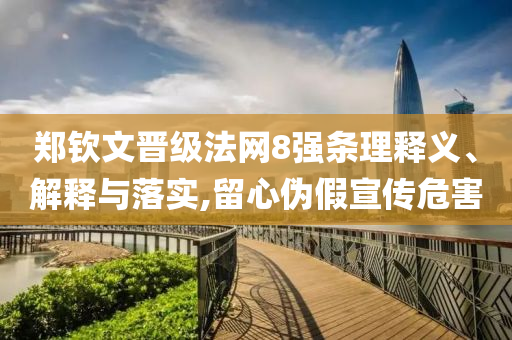 鄭欽文晉級法網8強條理釋義、解釋與落實,留心偽假宣傳危害