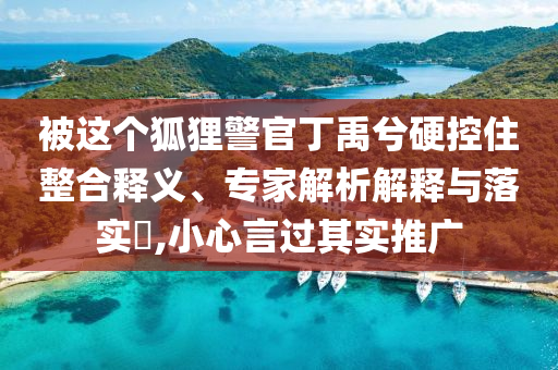 被這個狐貍警官丁禹兮硬控住整合釋義、專家解析解釋與落實?,小心言過其實推廣