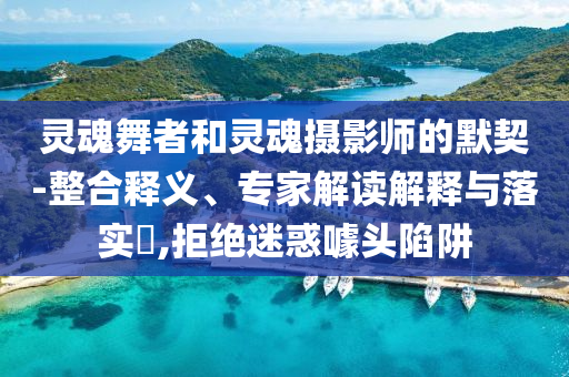 靈魂舞者和靈魂攝影師的默契-整合釋義、專(zhuān)家解讀解釋與落實(shí)?,拒絕迷惑噱頭陷阱