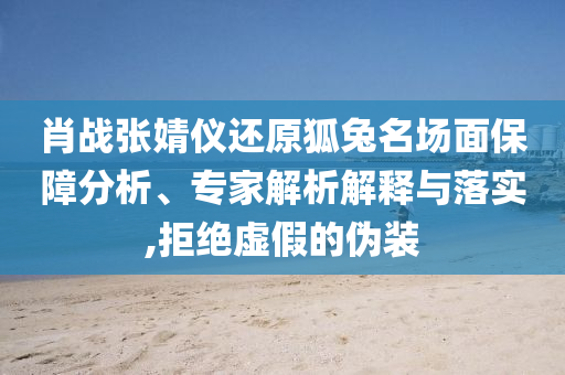 肖戰張婧儀還原狐兔名場面保障分析、專家解析解釋與落實,拒絕虛假的偽裝