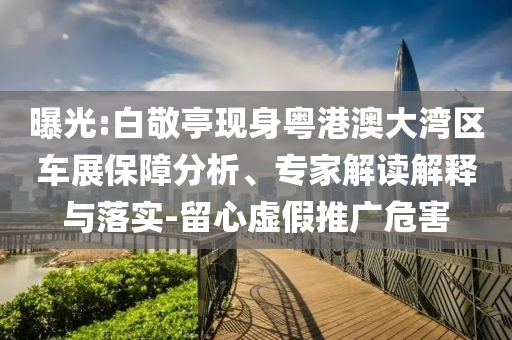 曝光:白敬亭現身粵港澳大灣區車展保障分析、專家解讀解釋與落實-留心虛假推廣危害