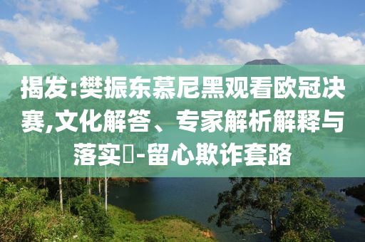 揭發:樊振東慕尼黑觀看歐冠決賽,文化解答、專家解析解釋與落實?-留心欺詐套路