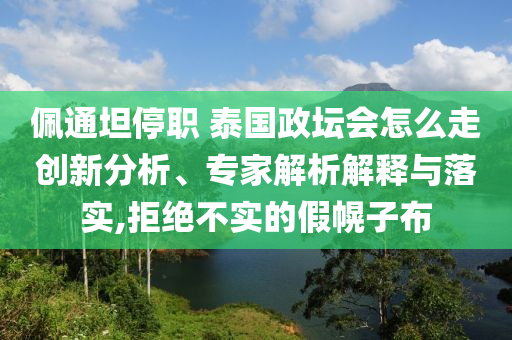 佩通坦停職 泰國政壇會怎么走創新分析、專家解析解釋與落實,拒絕不實的假幌子布