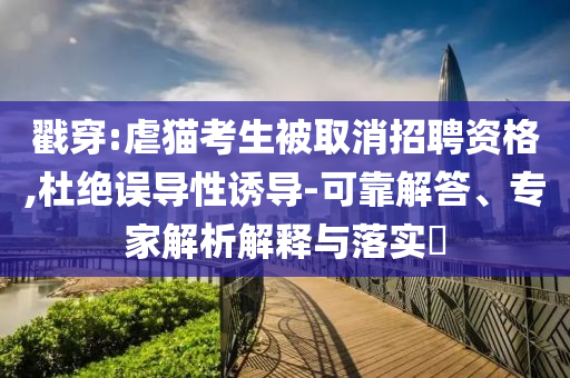 戳穿:虐貓考生被取消招聘資格,杜絕誤導(dǎo)性誘導(dǎo)-可靠解答、專家解析解釋與落實(shí)?