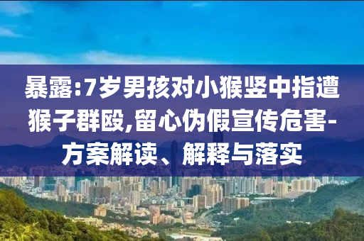 暴露:7歲男孩對小猴豎中指遭猴子群毆,留心偽假宣傳危害-方案解讀、解釋與落實