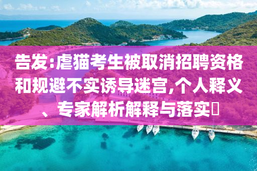 告發:虐貓考生被取消招聘資格和規避不實誘導迷宮,個人釋義、專家解析解釋與落實?