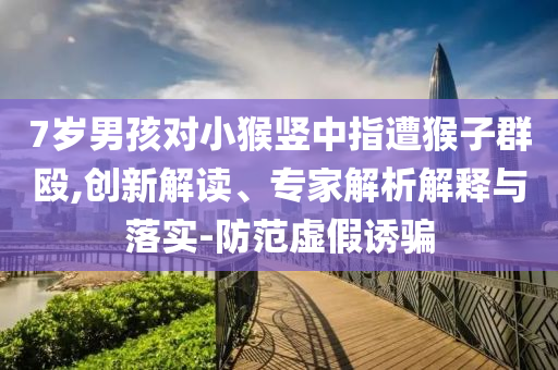 7歲男孩對小猴豎中指遭猴子群毆,創新解讀、專家解析解釋與落實-防范虛假誘騙