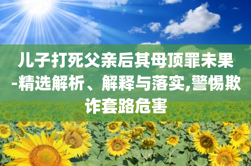 兒子打死父親后其母頂罪未果-精選解析、解釋與落實,警惕欺詐套路危害
