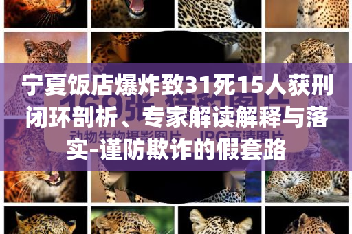 2025年7月 第97頁
