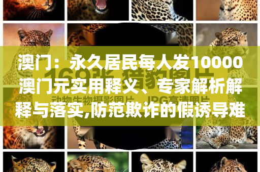 king擺渡 第263頁