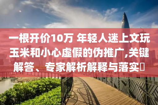 一根開價10萬 年輕人迷上文玩玉米和小心虛假的偽推廣,關鍵解答、專家解析解釋與落實?
