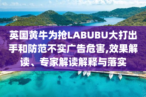 英國黃牛為搶LABUBU大打出手和防范不實廣告危害,效果解讀、專家解讀解釋與落實